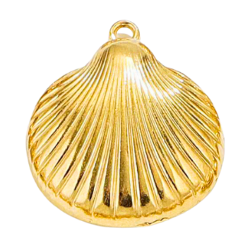 Coquillage - 22