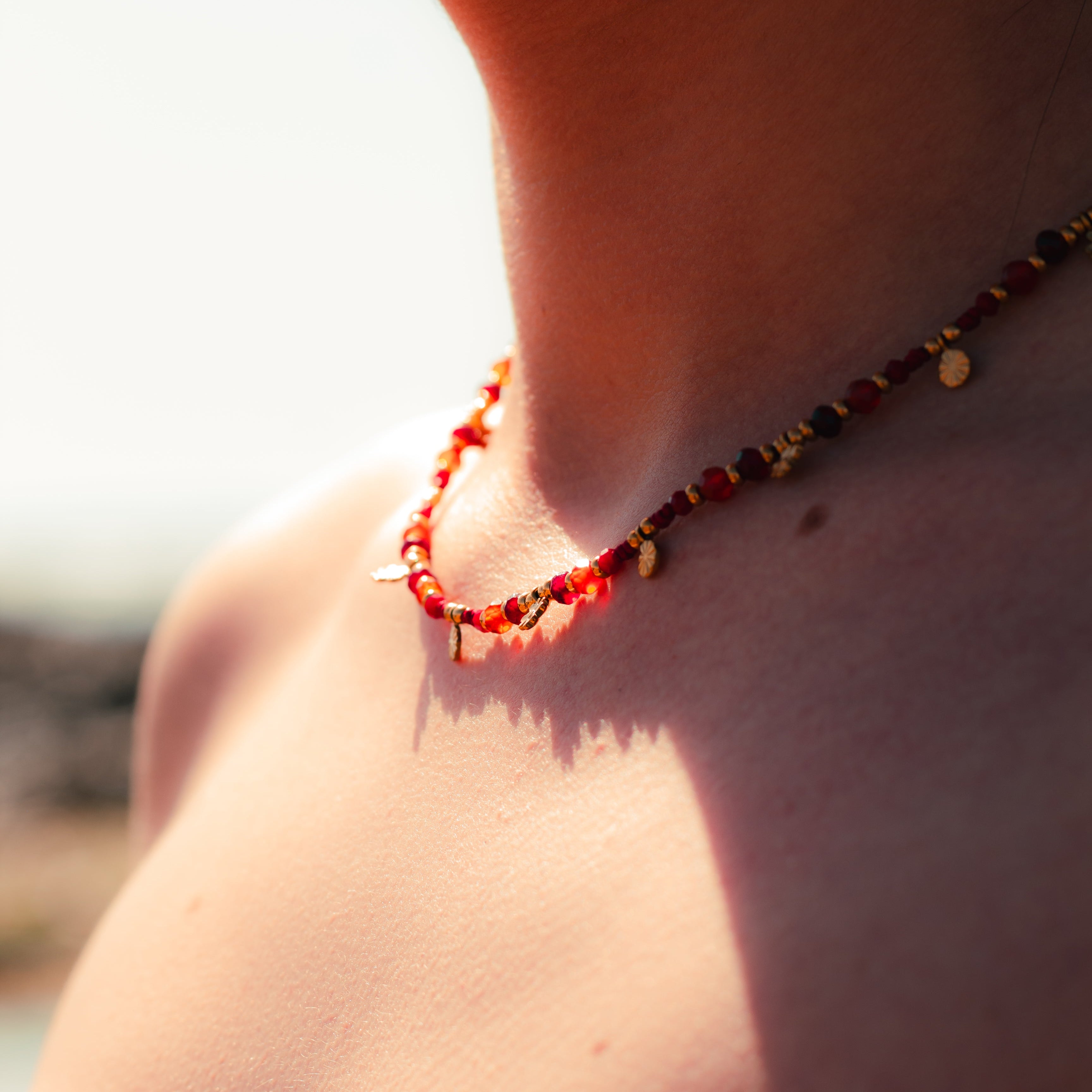 COLLIER CORAIL
