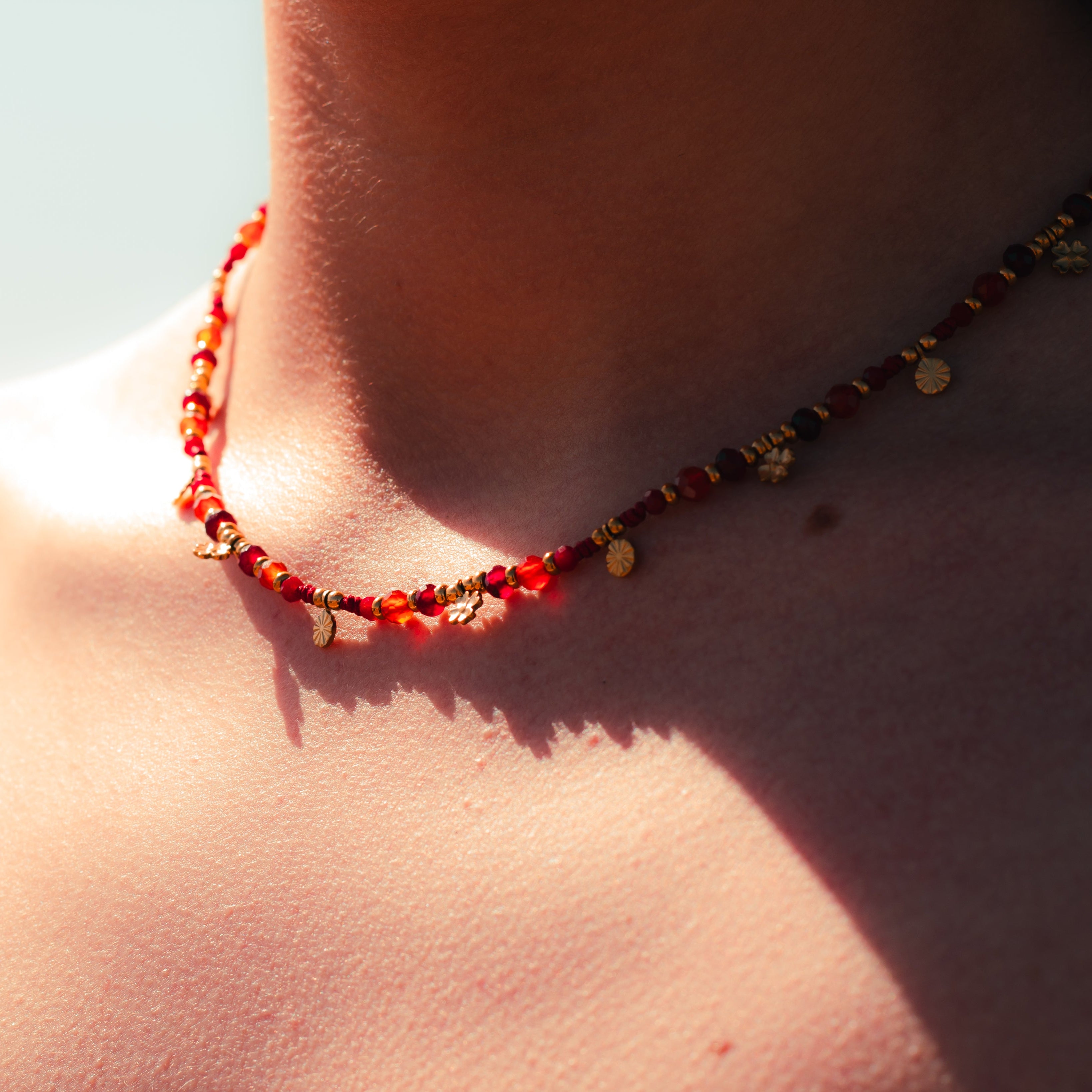 COLLIER CORAIL